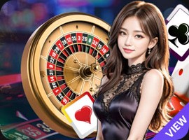CASINO SKIN NO.28